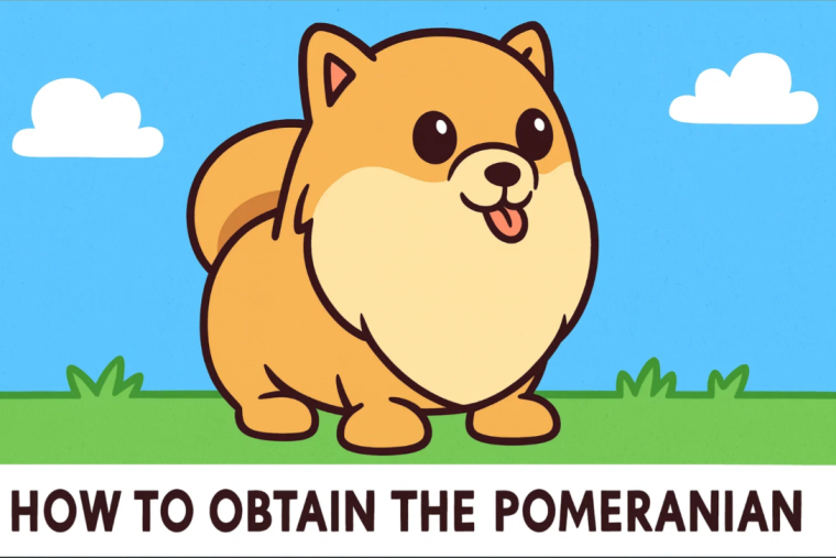 Pomeranian Pet Guide in Adopt Me!: How to Get, Tricks, and Full Appearance Breakdown buy adopt me pets